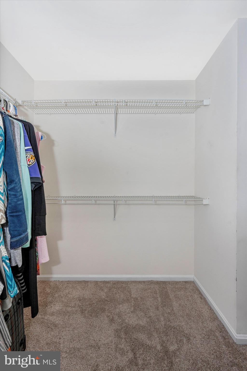 14 Rain Flower Path, Unit 201 Sparks, MD 21152 - Photo 16 of 25 Walk in Closet
