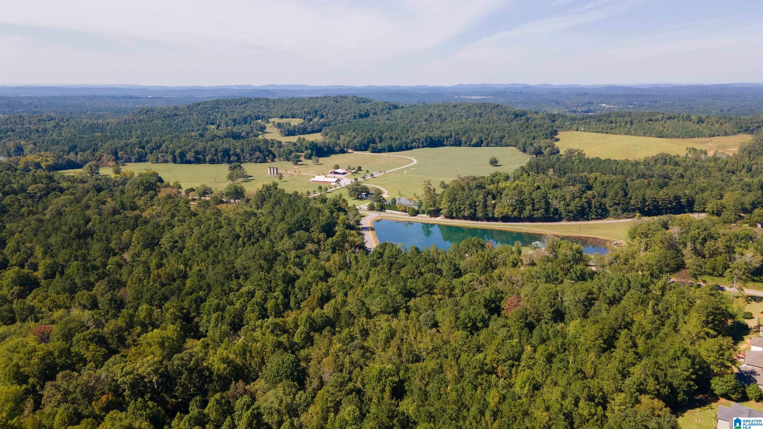 250 Angel Lake Road, Unit 1 PARCEL Jacksonville, AL 36265 - Photo 8 of 10