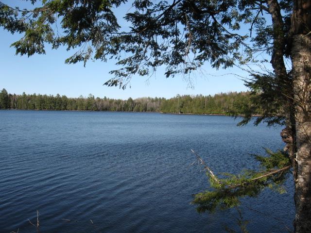 Sandy Pond