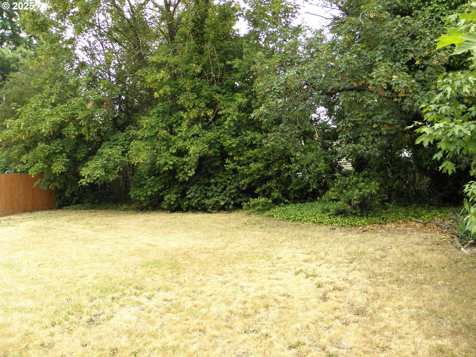 6640 Southeast 66th Avenue Portland, OR 97206 - Photo 21 of 21 a view of a yard with a trees