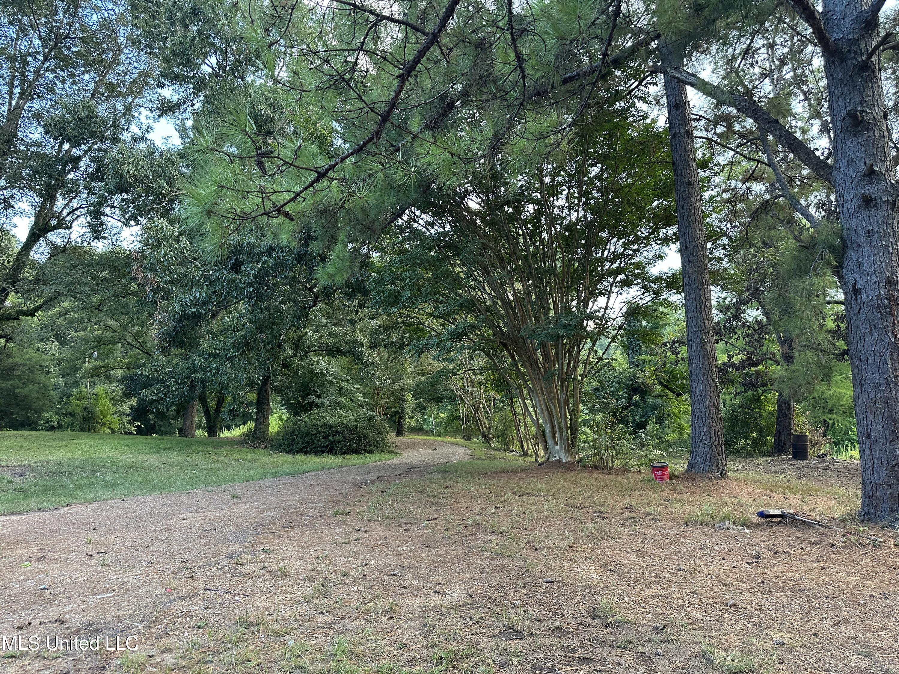 36 Pond Meadow Road Natchez, MS 39120 - Photo 19 of 24 IMG_2962