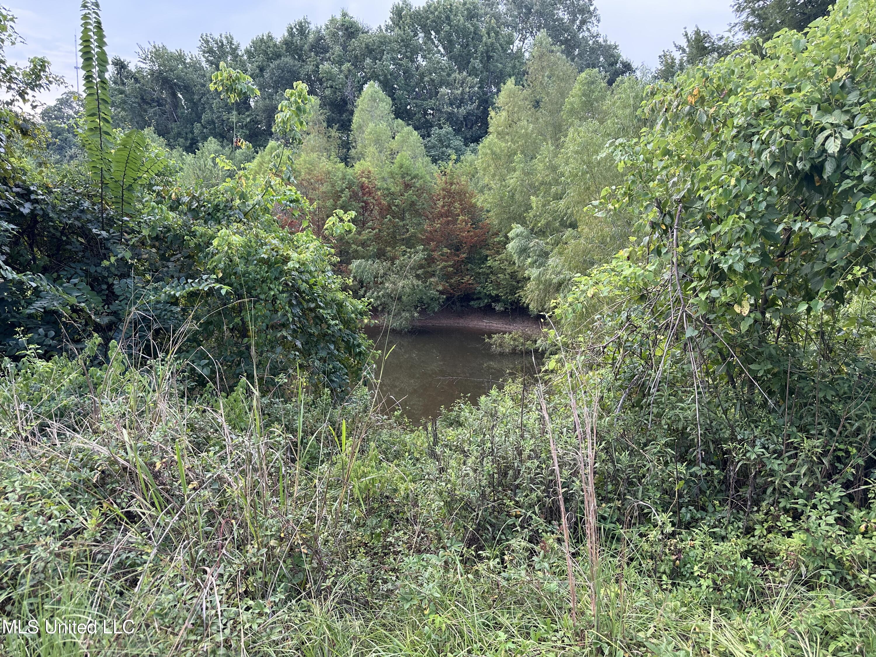 36 Pond Meadow Road Natchez, MS 39120 - Photo 20 of 24 IMG_2963