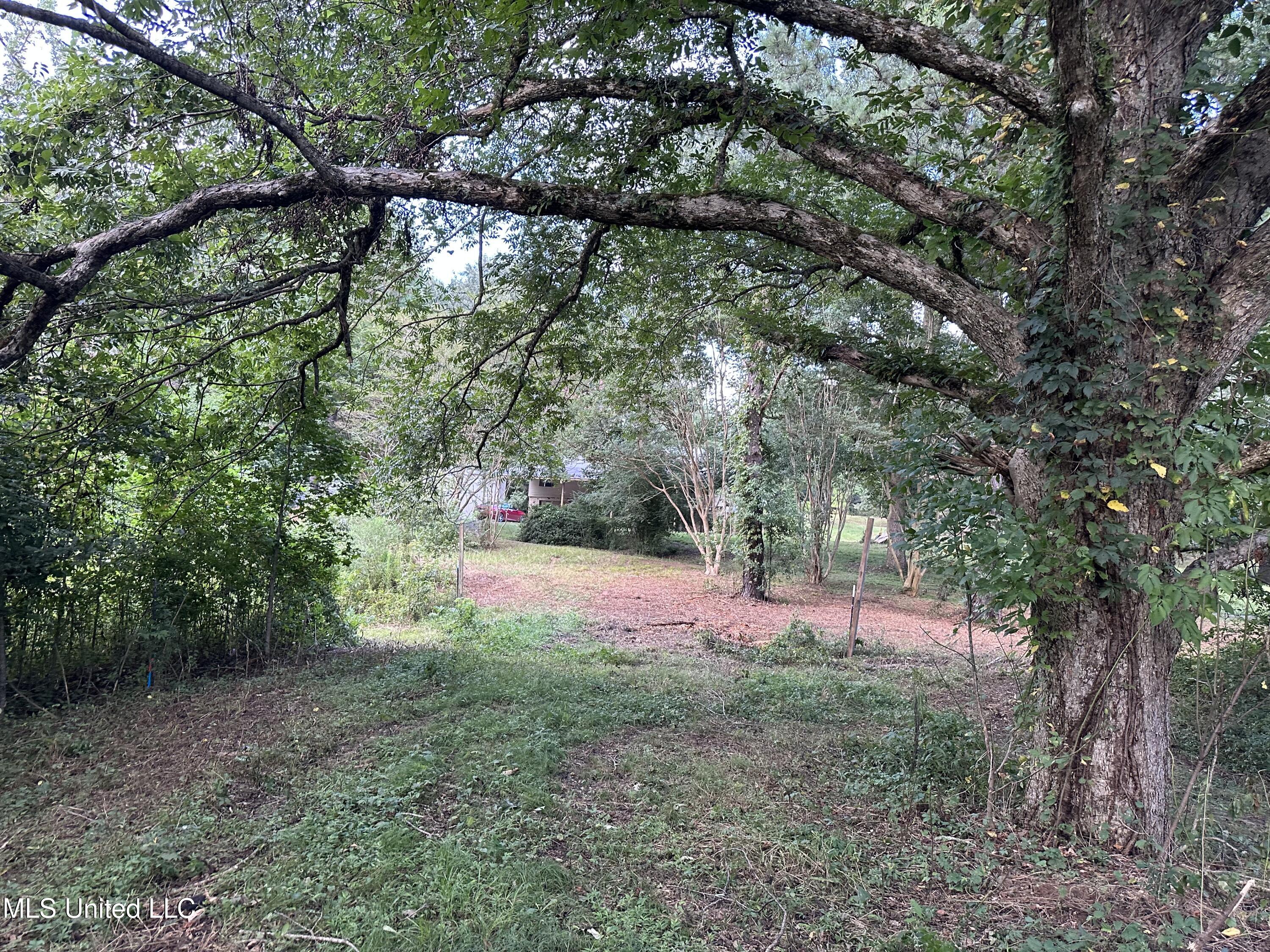 36 Pond Meadow Road Natchez, MS 39120 - Photo 21 of 24 IMG_2964