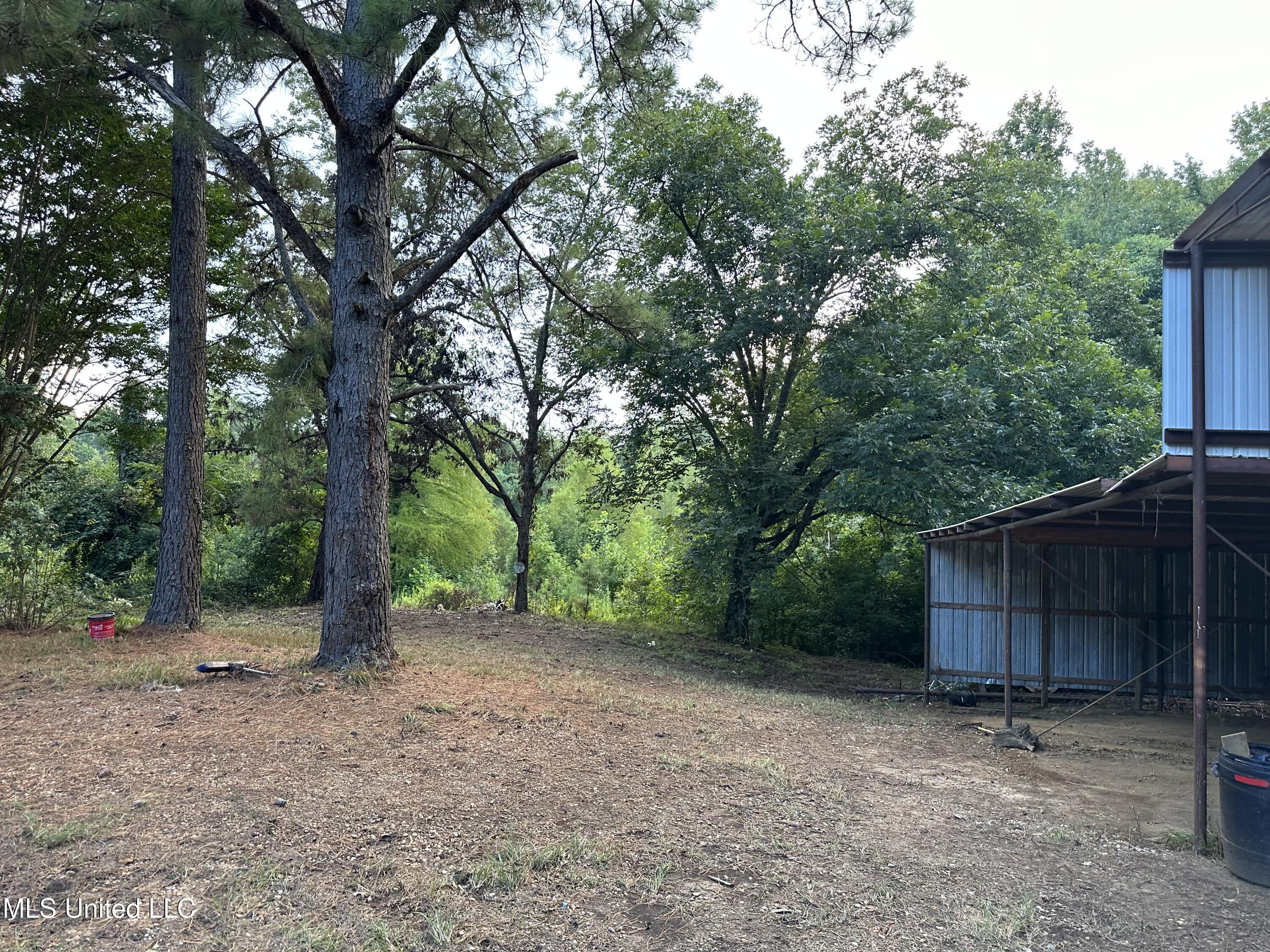 36 Pond Meadow Road Natchez, MS 39120 - Photo 22 of 24 IMG_2961