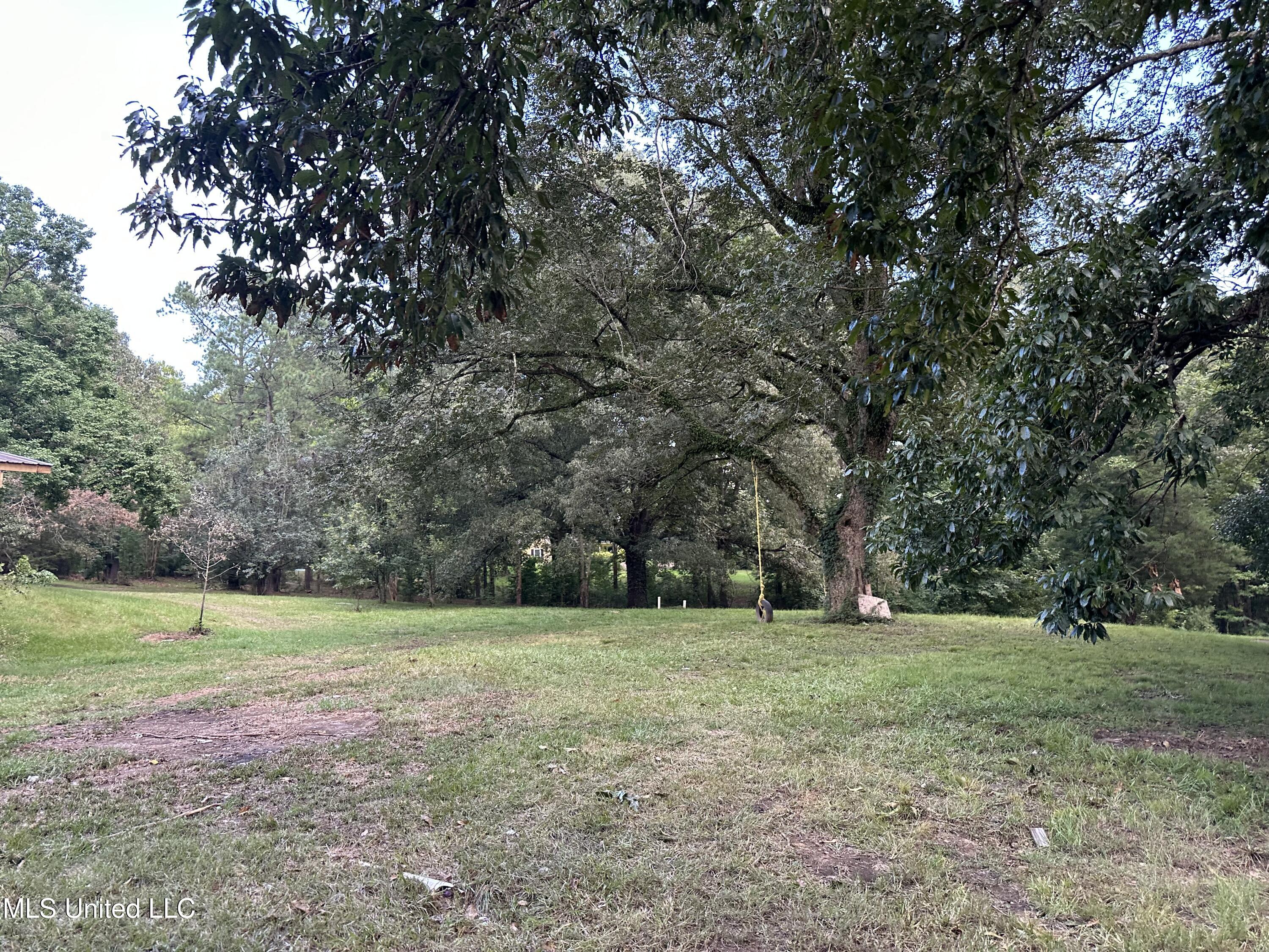 36 Pond Meadow Road Natchez, MS 39120 - Photo 24 of 24 IMG_2966