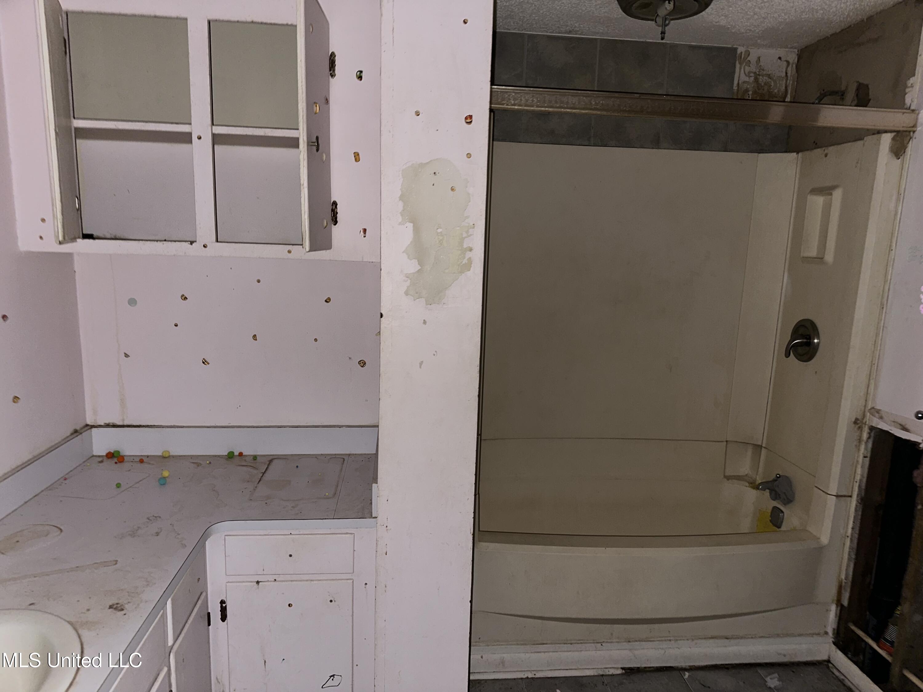 36 Pond Meadow Road Natchez, MS 39120 - Photo 9 of 24 IMG_2950