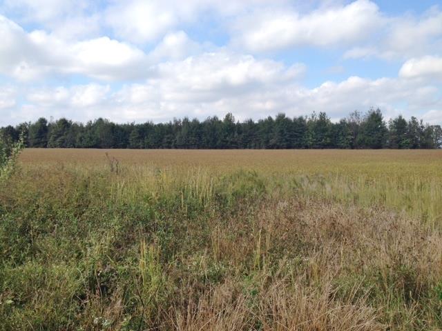 840 Ball Park Road Morrison, TN 37357 - Photo 7 of 7 a view of an ocean