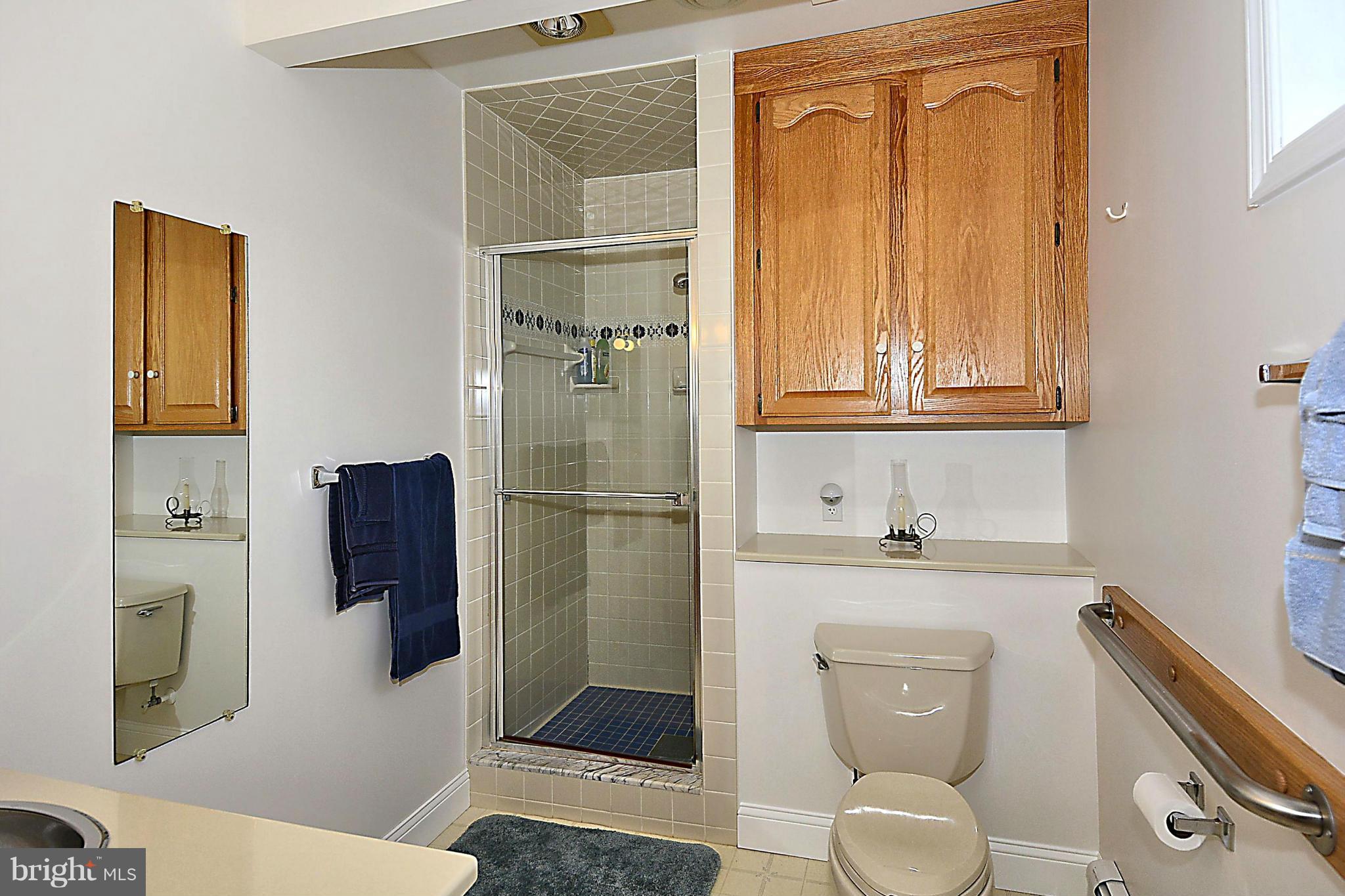 21121 Peach Tree Road Dickerson, MD 20842 - Photo 16 of 30 a bathroom with a toilet a sink and shower