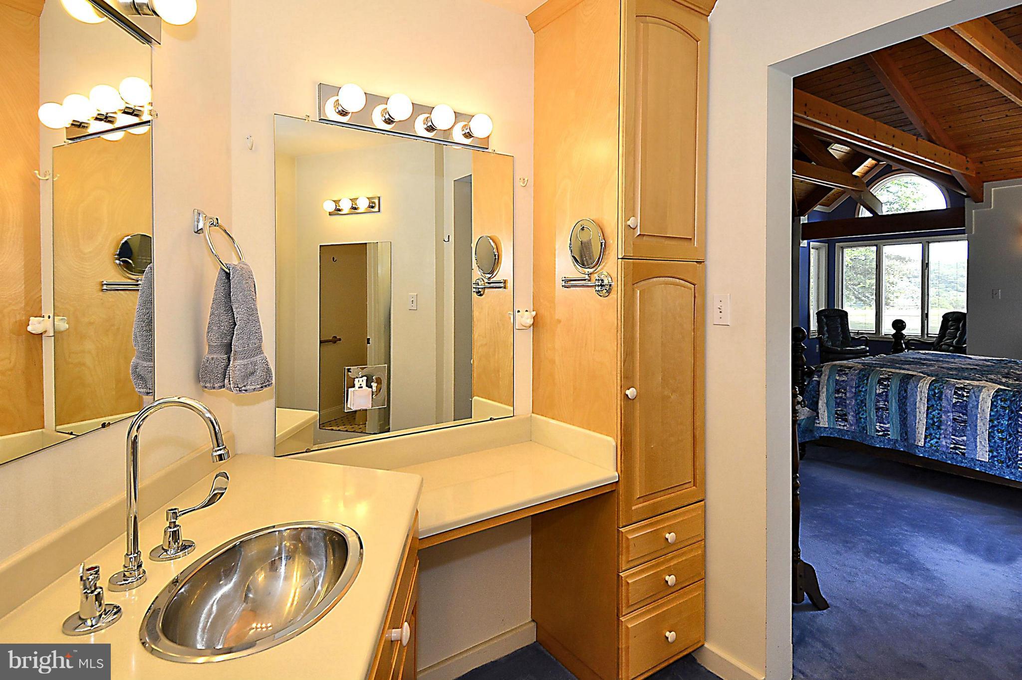 21121 Peach Tree Road Dickerson, MD 20842 - Photo 23 of 30 a bathroom with a sink a bathtub and a mirror