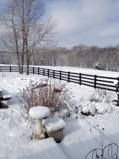 345 Boone Ridge Lane Lexington, KY 40515 - Photo 69 of 84 photo (52)