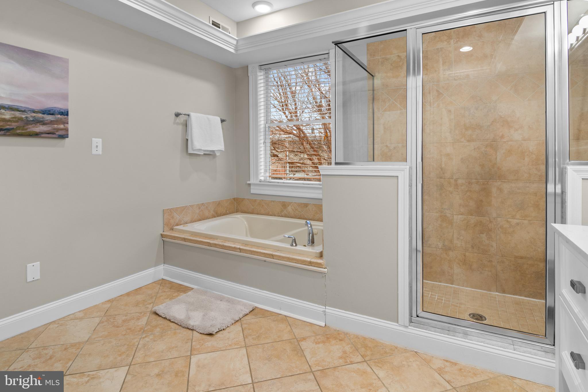 1535 South Hanover Street Baltimore, MD 21230 - Photo 21 of 43 a bathroom with a granite countertop bathtub and shower