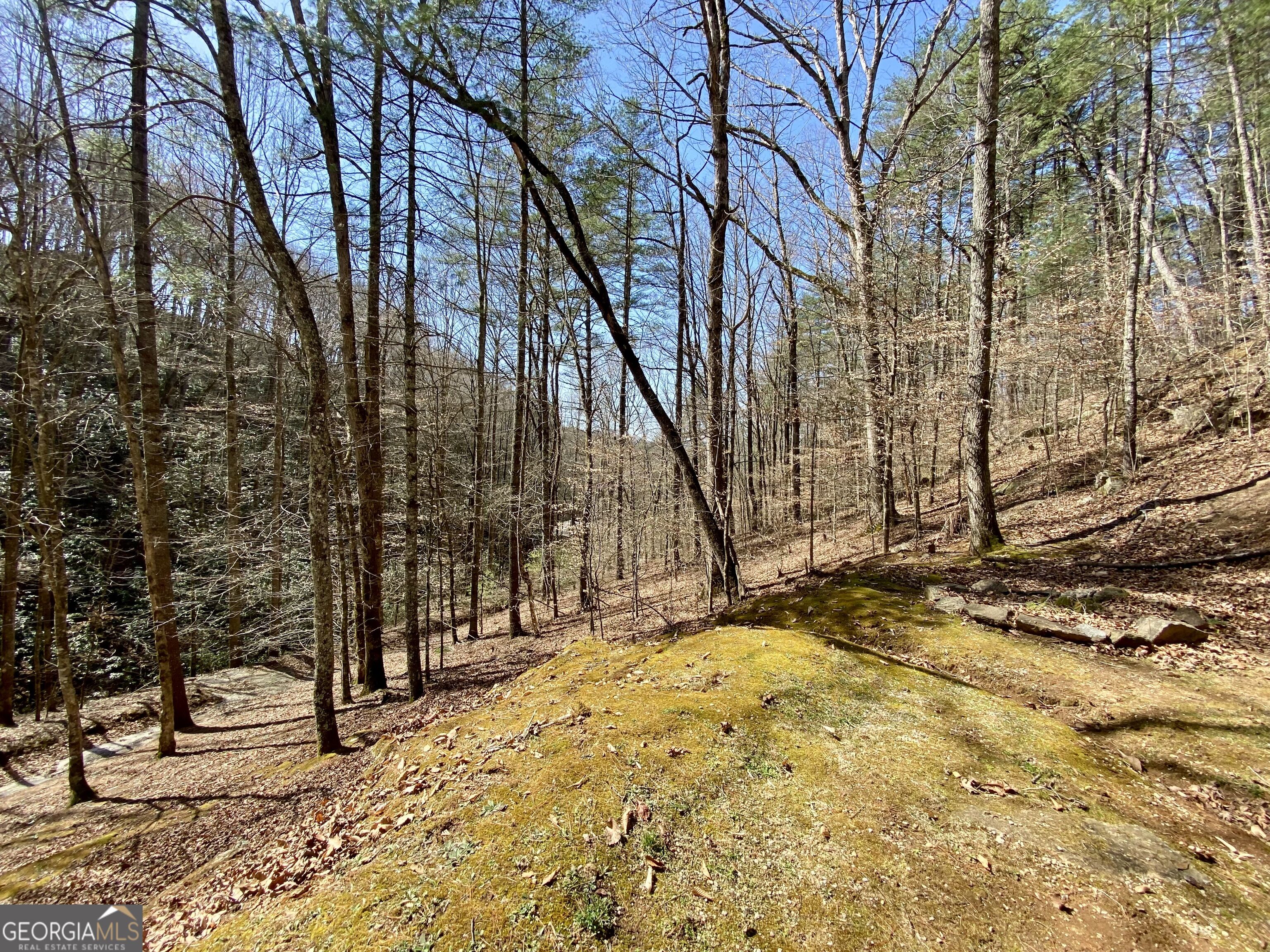 119 Cub Lane Rabun Gap, GA 30568 - Photo 29 of 31 Gallery Image 29