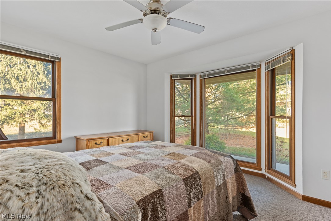 6909 West Calla Road Canfield, OH 44406 - Photo 11 of 25 Bedroom 2/1st floor