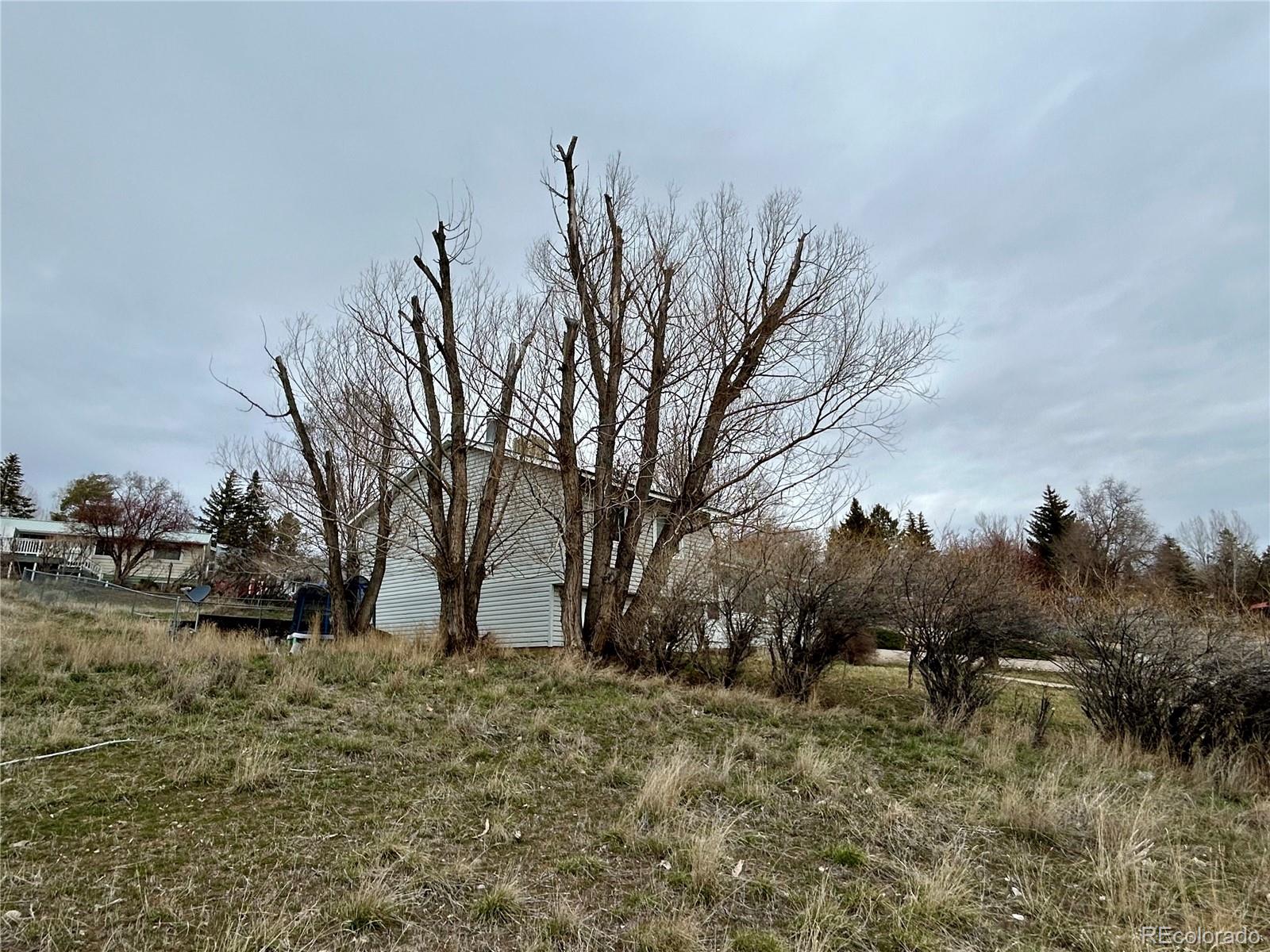 730 Ashley Road Craig, CO 81625 - Photo 41 of 43 a view of a yard with trees