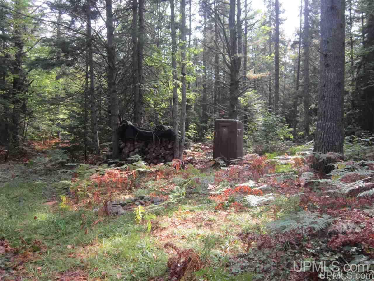 Tbd Off Co Rd 450 Road Seney, MI 49883 - Photo 3 of 13