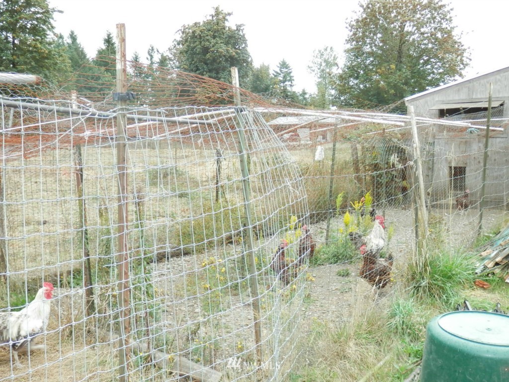 13332 Military Road Southeast Rainier, WA 98576 - Photo 23 of 25 Gallery Image 23