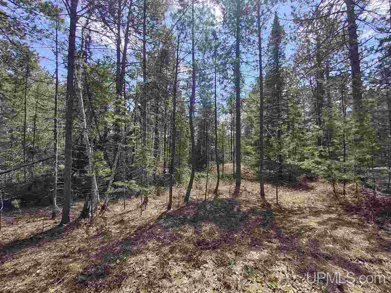 60 Little Rice Lk Road Lake Linden, MI 49945 - Photo 10 of 22