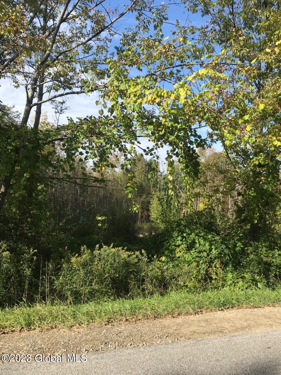Lot 2 Perth Road Hagaman, NY 12086 - Photo 3 of 4 PERTH RD LOT 1
