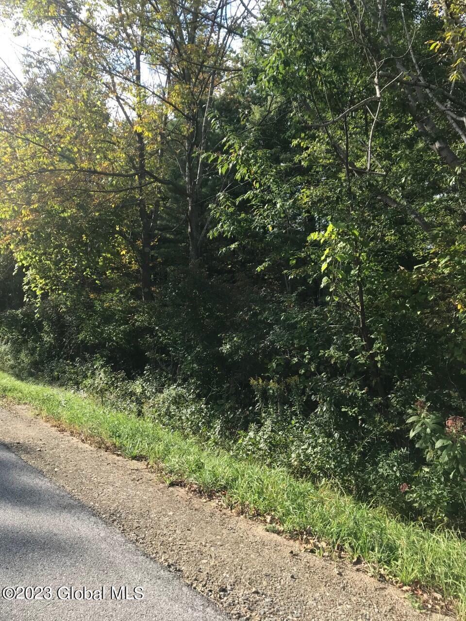 Lot 2 Perth Road Hagaman, NY 12086 - Photo 4 of 4 PERTH RD LOTs
