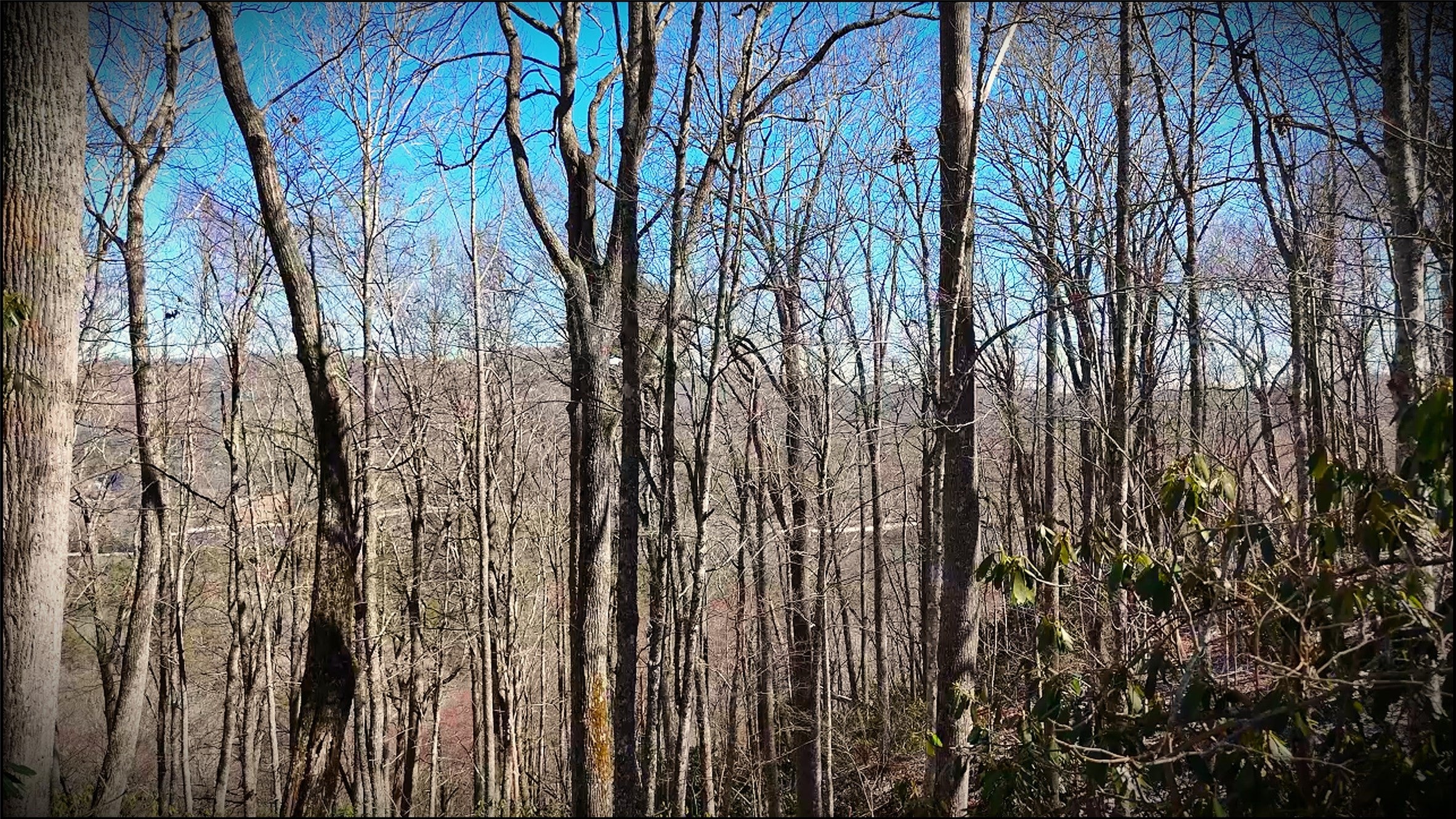 20 Bright Mountain Road Cullowhee, NC 28723 - Photo 5 of 7 Gallery Image 5
