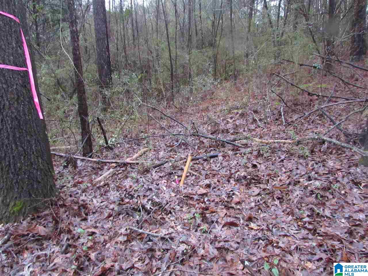 0 West Kirksey Road Eastaboga, AL 36260 - Photo 2 of 6