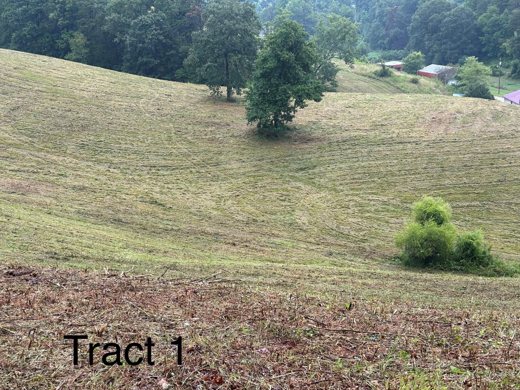 1 Langdon Branch Road Annville, KY 40402 - Photo 5 of 30 Tract 1-20 ak