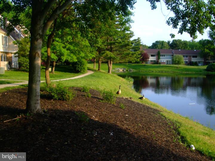 167-5 Echelon Road Voorhees, NJ 08043 - Photo 23 of 24 Gallery Image 23