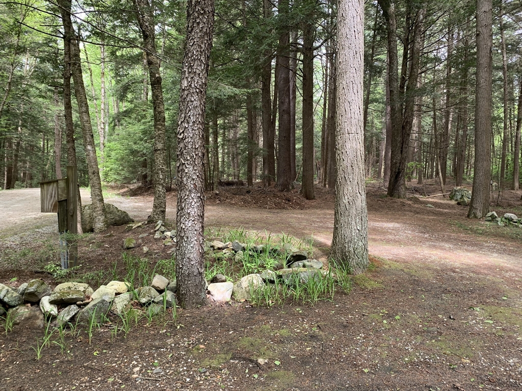 759 North Main Road, Unit V411 Otis, MA 01253 - Photo 10 of 42 Gallery Image 10