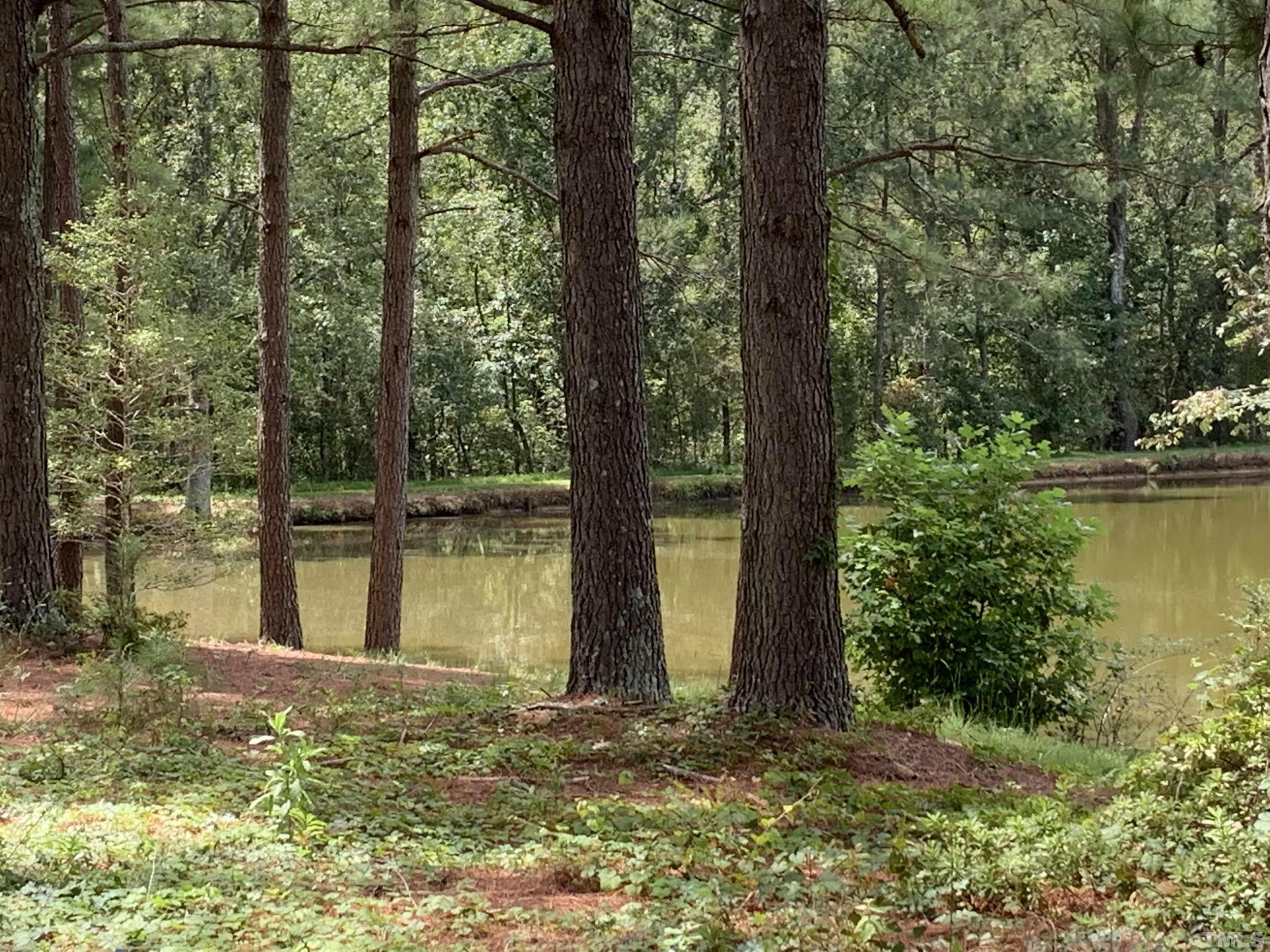 9832 Sauls Road Raleigh, NC 27603 - Photo 5 of 16 a view of lake