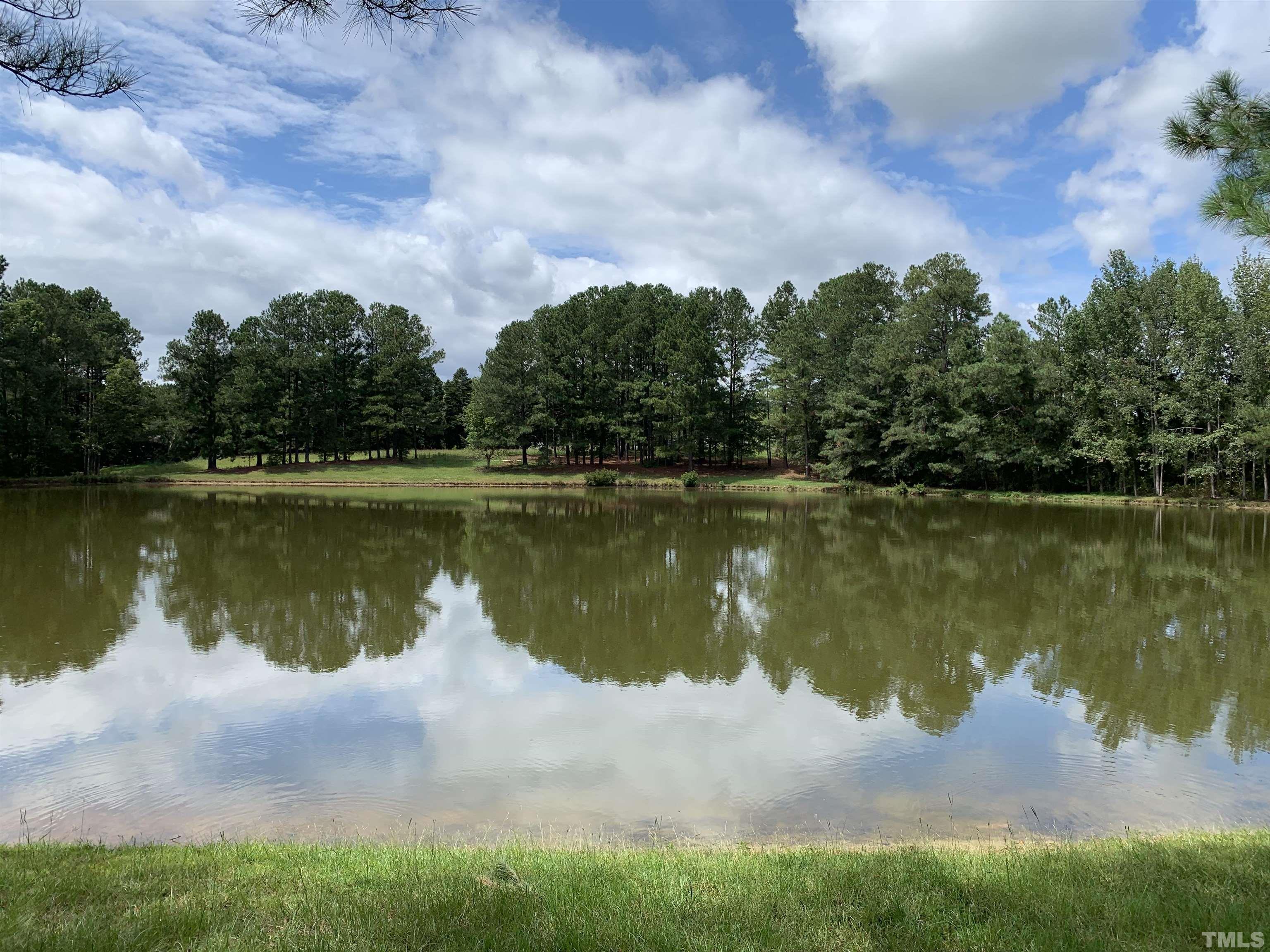 9832 Sauls Road Raleigh, NC 27603 - Photo 7 of 16 a view of a lake