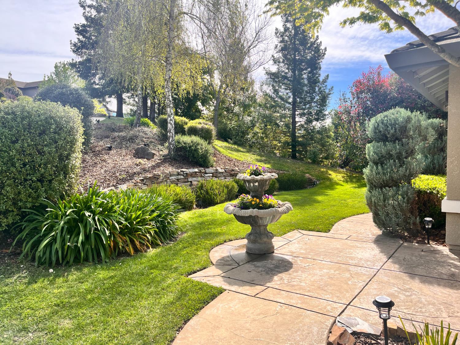 3497 Foxmore Lane Rescue, CA 95672 - Photo 5 of 83