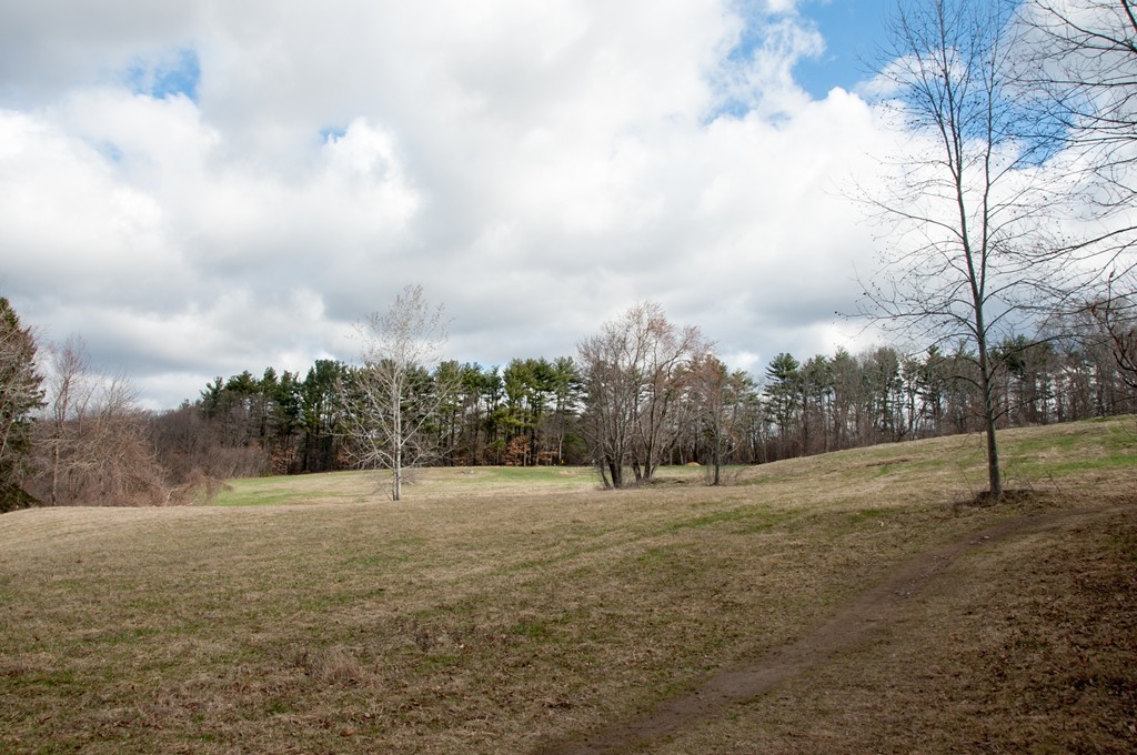 46 Summit Road, Unit 46 Belmont, MA 02478 - Photo 30 of 30 Gallery Image 30