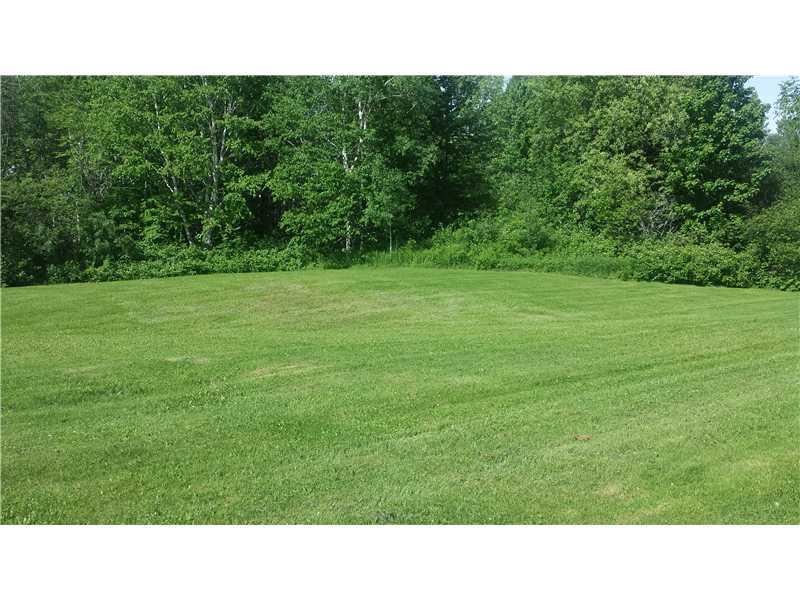 108 Station Road New Limerick, ME 04761 - Photo 16 of 19 Yard/Garden.