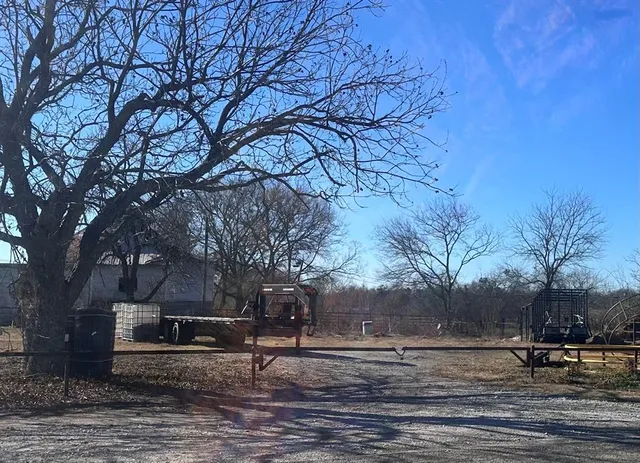 a view of a yard with a tree