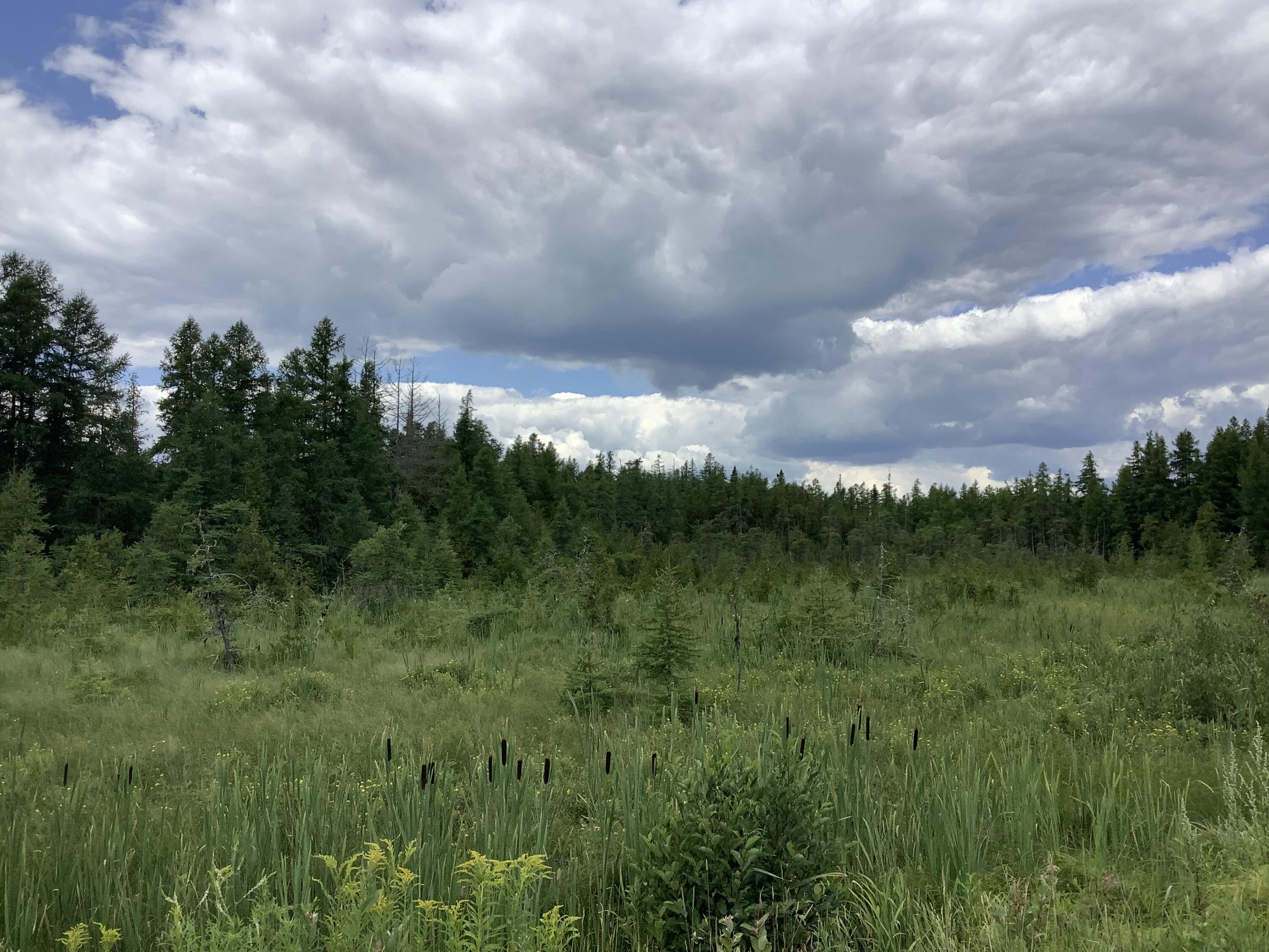 Map5-lot14a McIntyre Road Woodland, ME 04736 - Photo 4 of 12 1BBBABB8-27F8-45A3-9964-ABB535D918D8