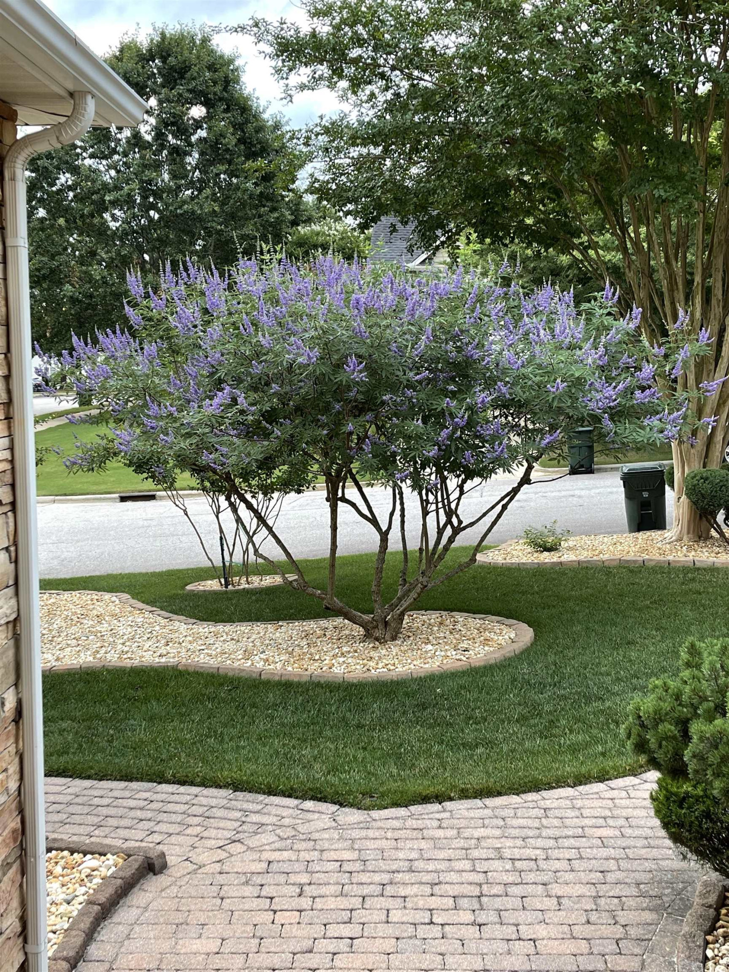 100 Mickleson Ridge Drive Raleigh, NC 27603 - Photo 47 of 59 Landscaping