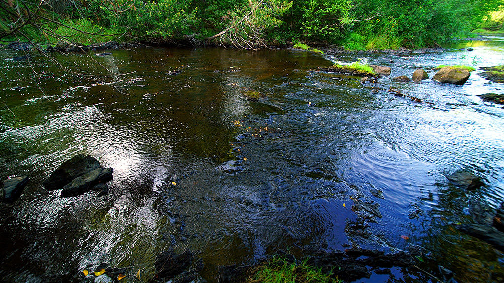 207 Hodgdon Mills Road Hodgdon, ME 04730 - Photo 41 of 42 207-hodgdon-mills-rd-1