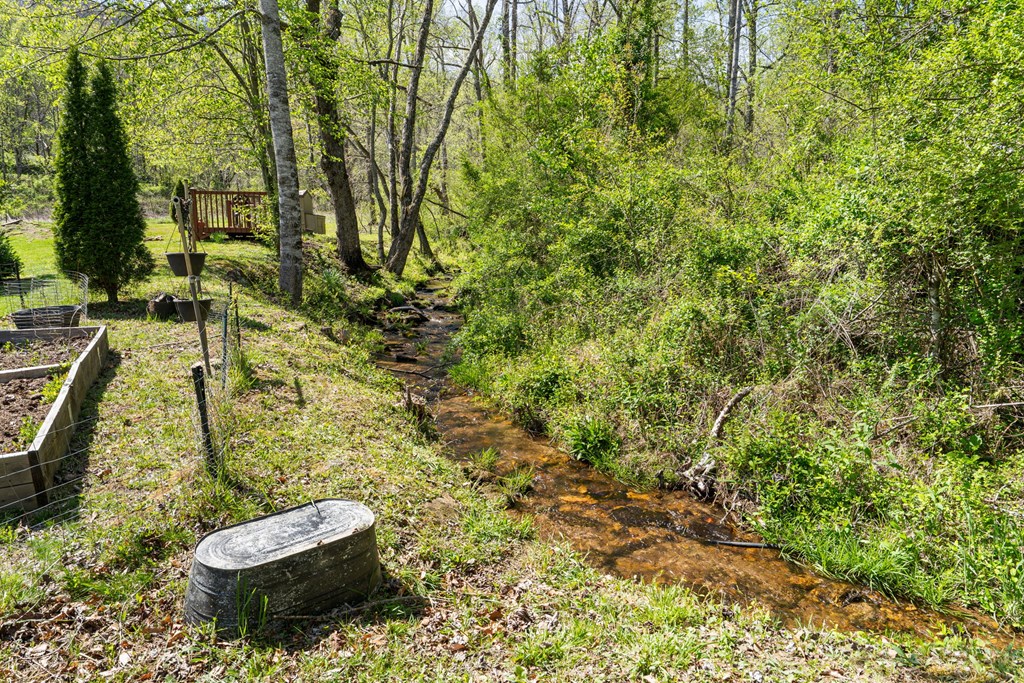 496 Jackie Cove Road Hayesville, NC 28904 - Photo 27 of 41 a view of a backyard of the house