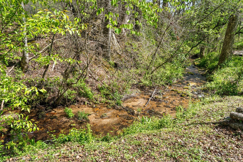 496 Jackie Cove Road Hayesville, NC 28904 - Photo 28 of 41 a view of a yard with a tree