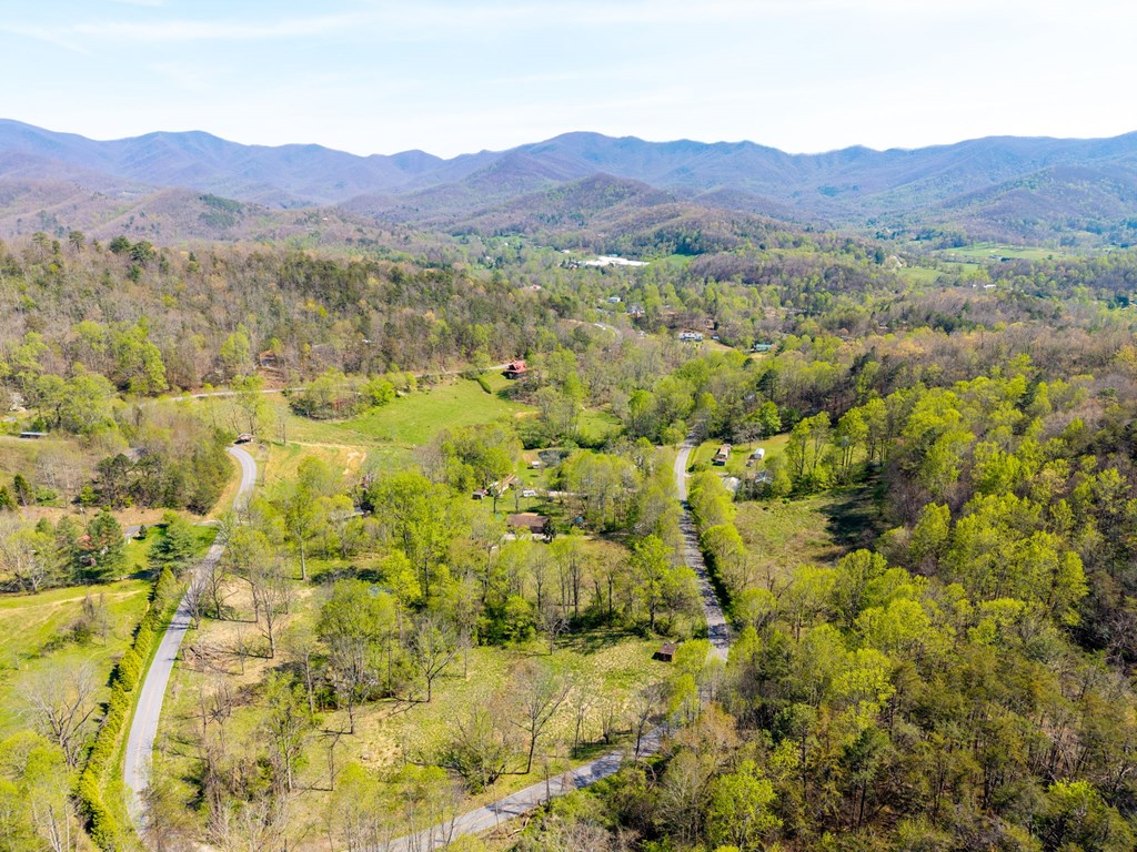496 Jackie Cove Road Hayesville, NC 28904 - Photo 41 of 41 a view of a lush green hillside and houses