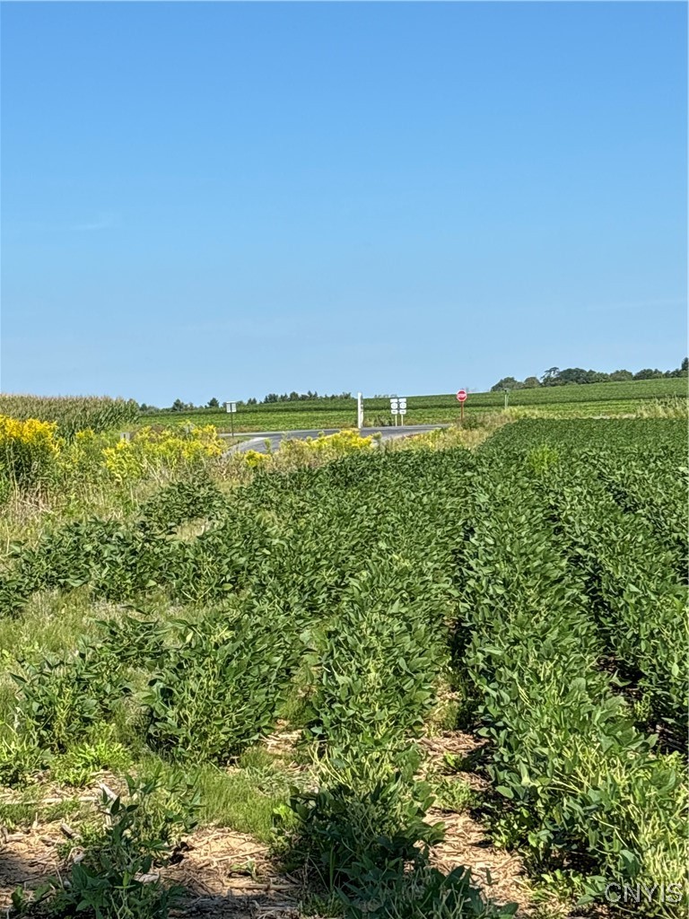 0 Paris Road Clinton, NY 13323 - Photo 2 of 6