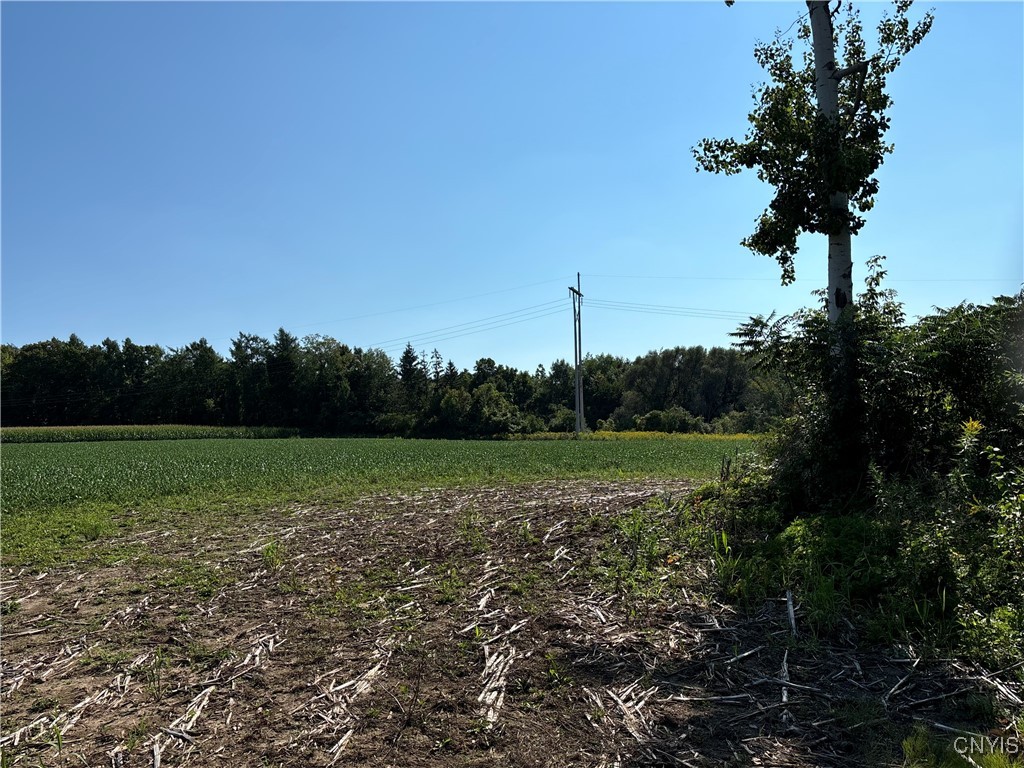 0 Paris Road Clinton, NY 13323 - Photo 3 of 6