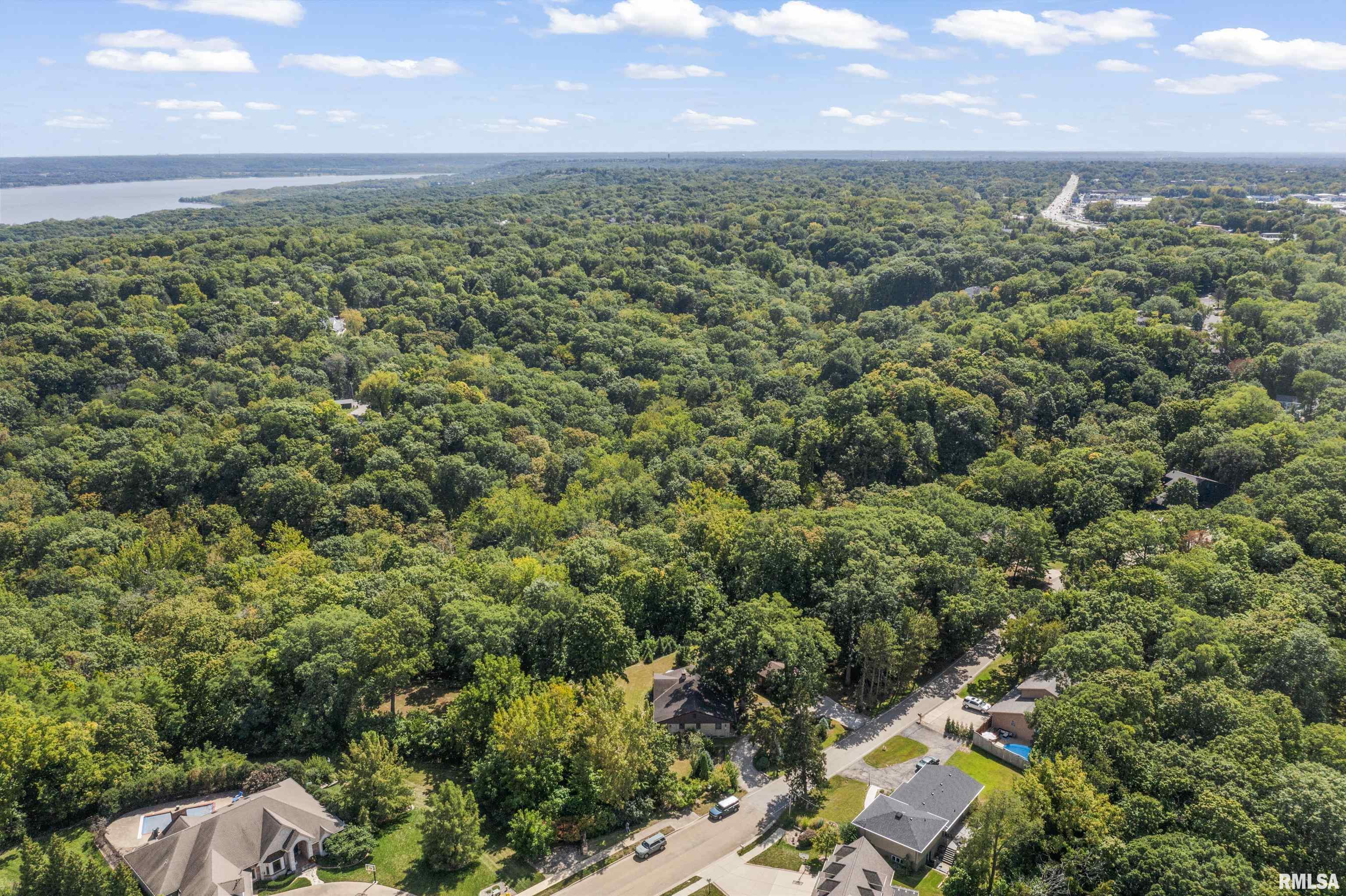 9310 North Frye Road Peoria, IL 61615 - Photo 9 of 46