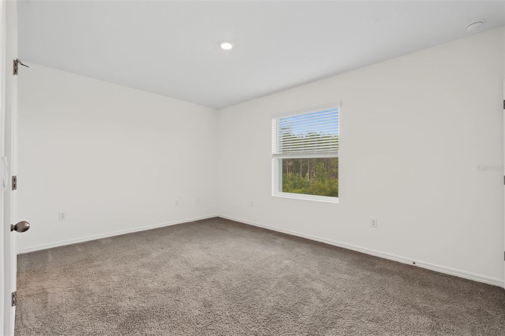 32612 Turtle Grace Loop Wesley Chapel, FL 33545 - Photo 22 of 37 Gallery Image 22