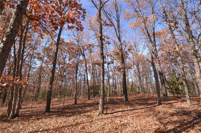 $67,500 | 0 South S Highway, Stockton, MO 65785