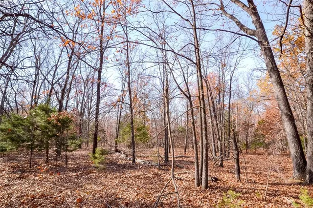 $67,500 | 0 South S Highway, Stockton, MO 65785