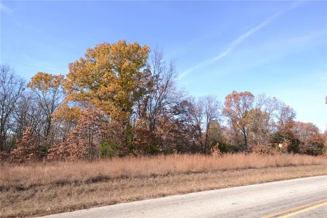 $67,500 | 0 South S Highway, Stockton, MO 65785