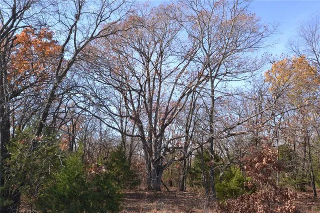 $67,500 | 0 South S Highway, Stockton, MO 65785