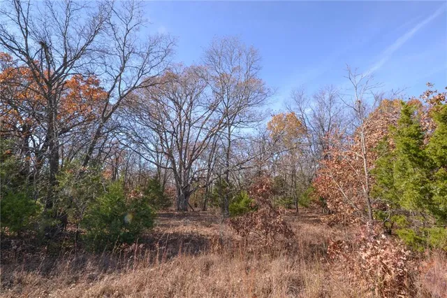 $67,500 | 0 South S Highway, Stockton, MO 65785