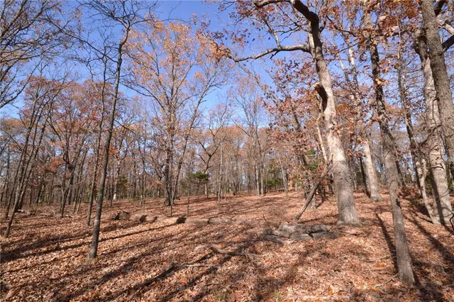 $67,500 | 0 South S Highway, Stockton, MO 65785